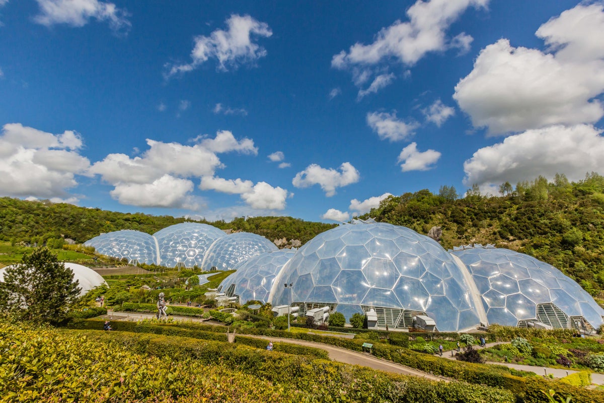 Eden Project's losses more than double as visitor numbers fall